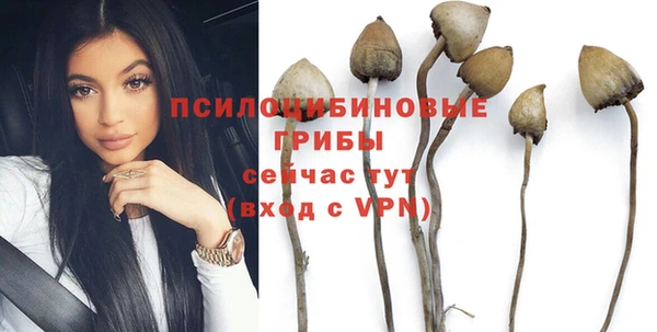 крисы Алексеевка