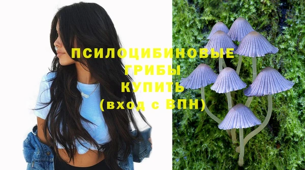 крисы Алексеевка
