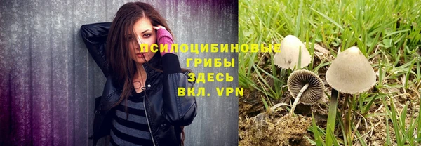 крисы Алексеевка