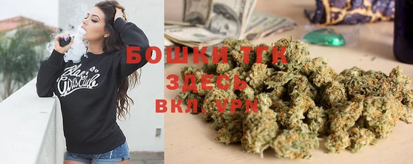 шишки Алзамай